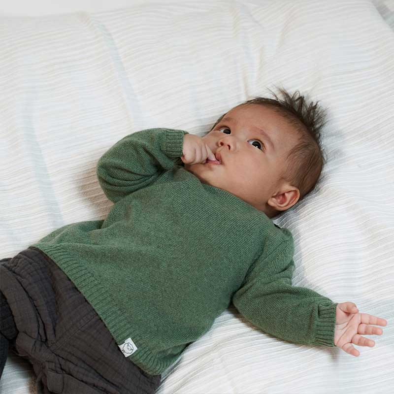 A classic image showcasing "The Cashmere Sweater," a luxurious and timeless garment crafted from sumptuous cashmere. This sweater exudes comfort and elegance, making it an essential addition to your sophisticated wardrobe.